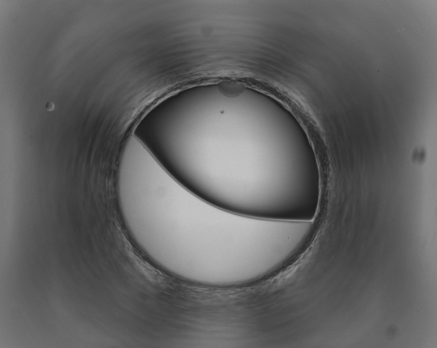 X0000091000881200708021223
