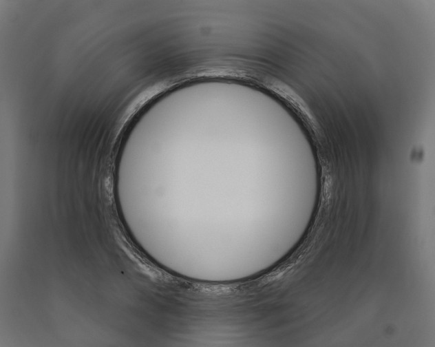 X0000091000882200708021223