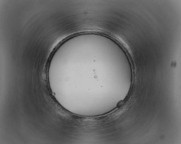 X0000091000883200708021223