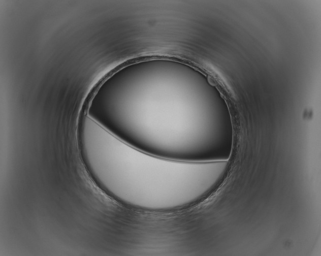 X0000091000884200708021223