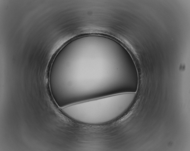 X0000091000885200708021222