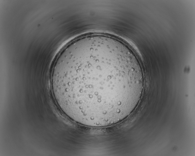 X0000091000887200708021222