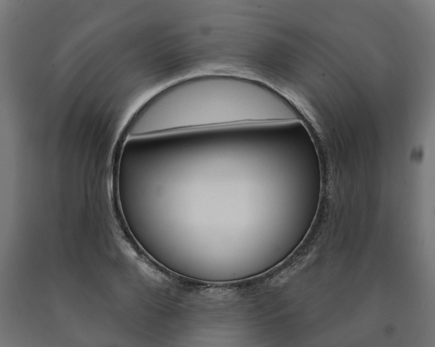 X0000091000888200708021222