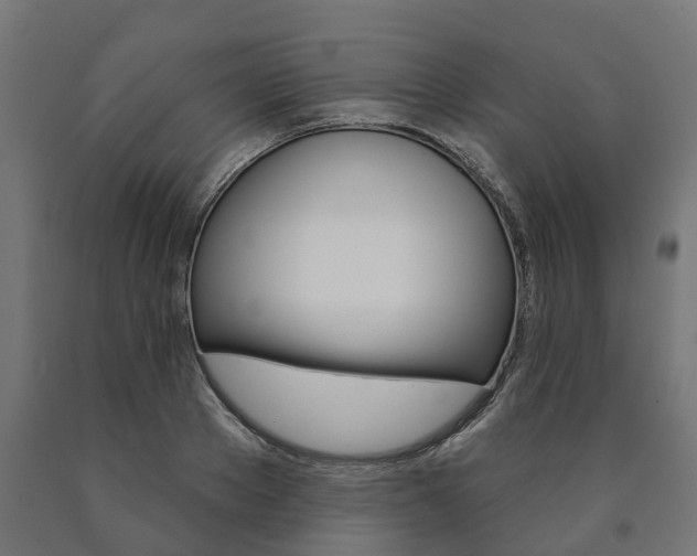 X0000091000889200708021222