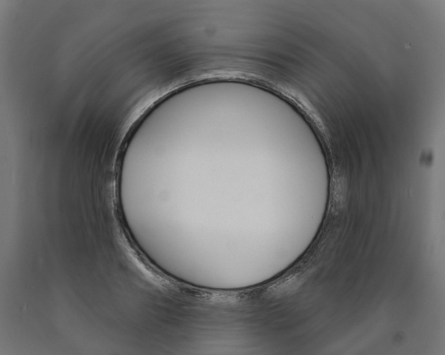 X0000091000890200708021222