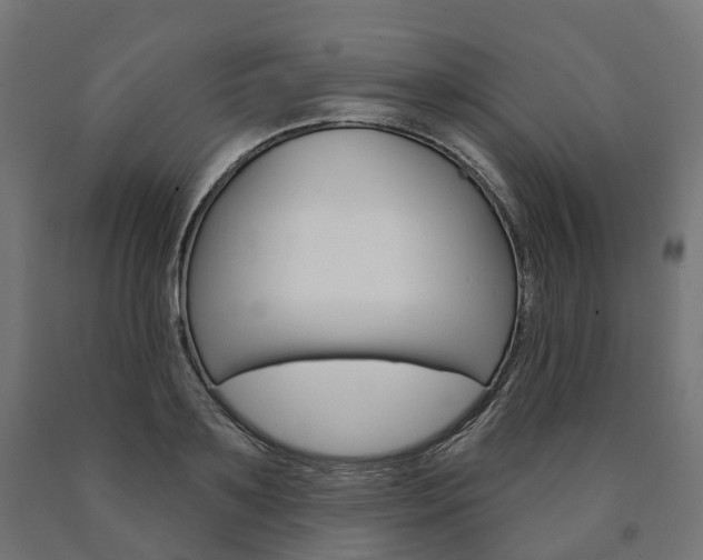 X0000091000891200708021222