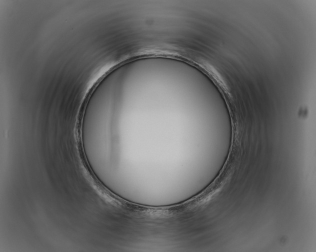 X0000091000893200708021222