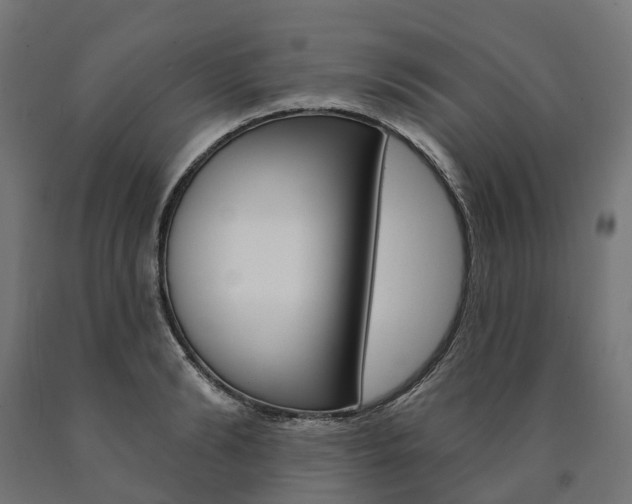 X0000091000894200708021222
