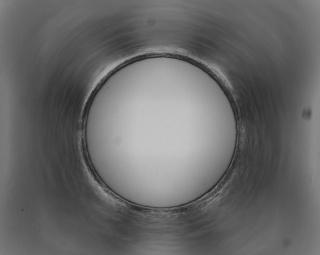 X0000091000895200708021222