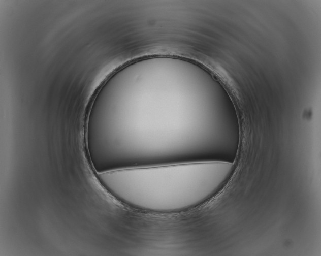 X0000091000896200708021222