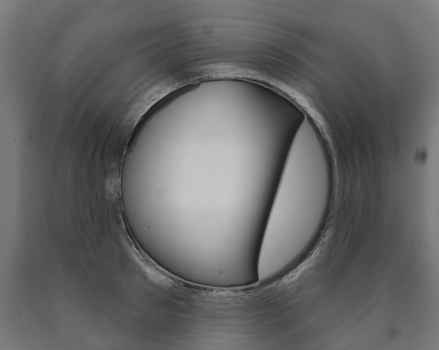 X0000091000897200708021222