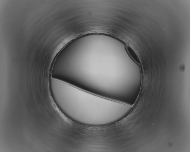 X0000091000898200708021222