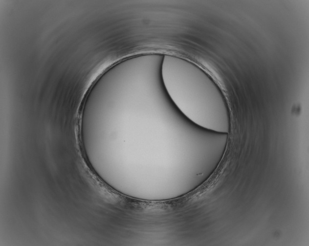 X0000091000899200708021222