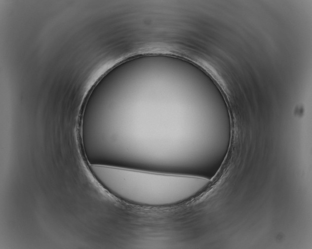 X0000091000901200708021222