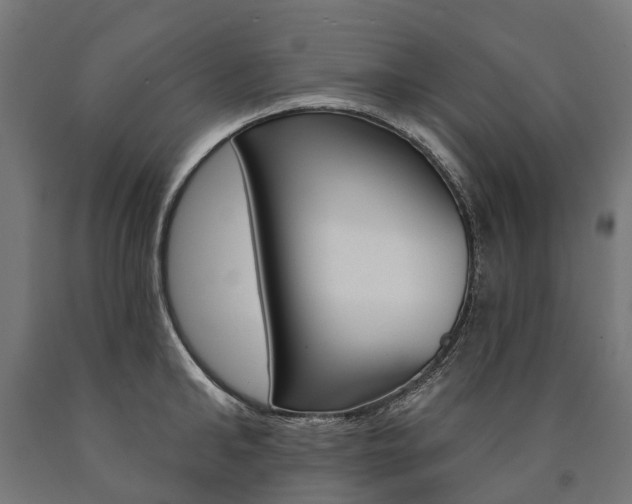 X0000091000902200708021222