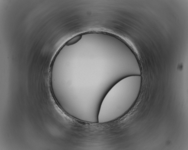 X0000091000903200708021222