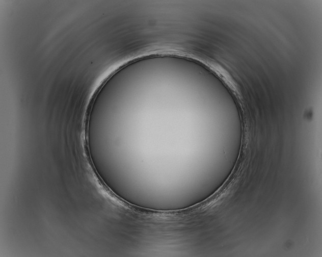 X0000091000904200708021222