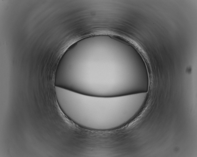 X0000091000905200708021222