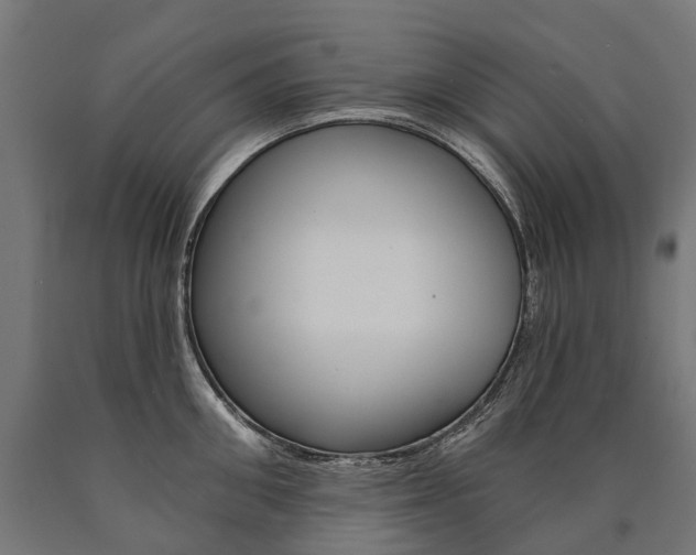 X0000091000906200708021222