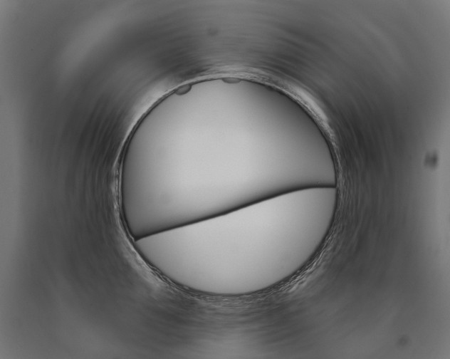 X0000091000907200708021222
