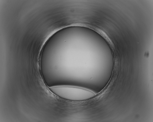 X0000091000908200708021222