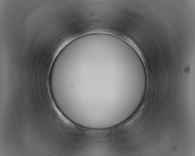 X0000091000909200708021222