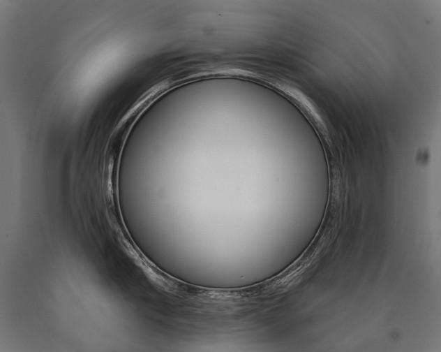 X0000091000910200708021222