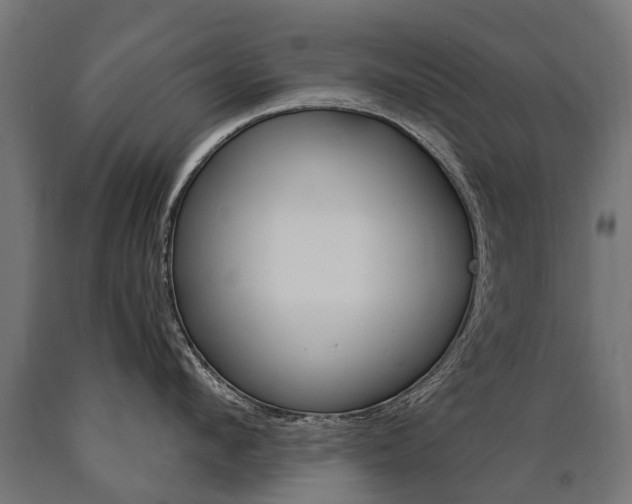 X0000091000912200708021222