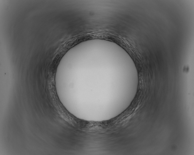 X0000091000913200708021221