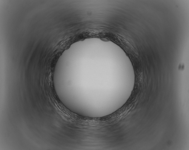 X0000091000914200708021221