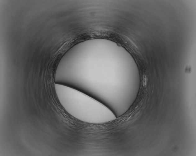 X0000091000915200708021221