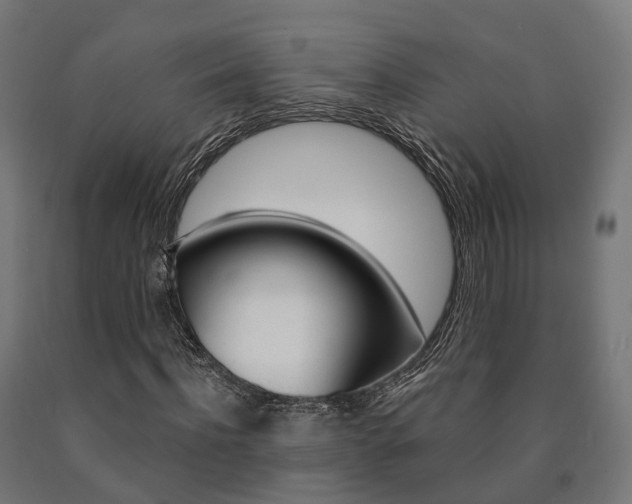 X0000091000916200708021221