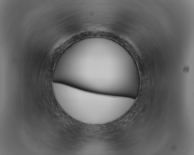 X0000091000919200708021221