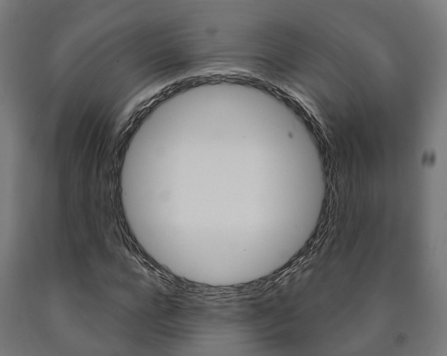 X0000091000920200708021221