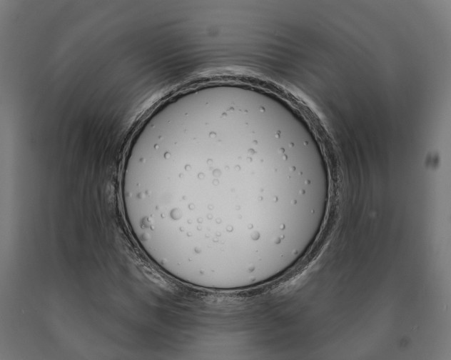 X0000091000921200708021221