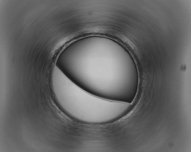 X0000091000922200708021221