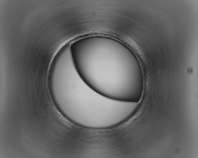 X0000091000924200708021221