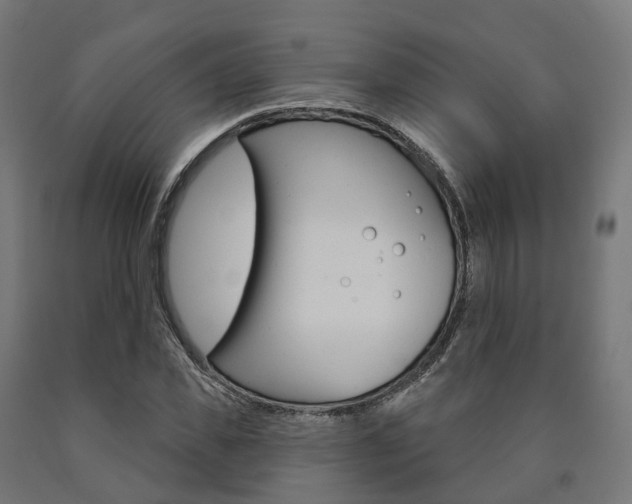X0000091000925200708021221