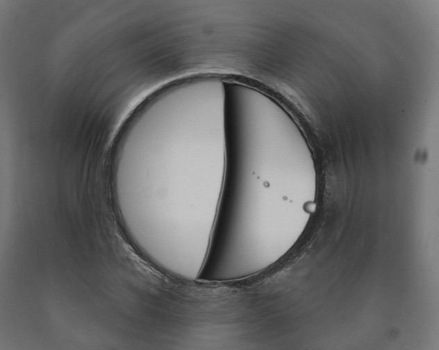 X0000091000926200708021221