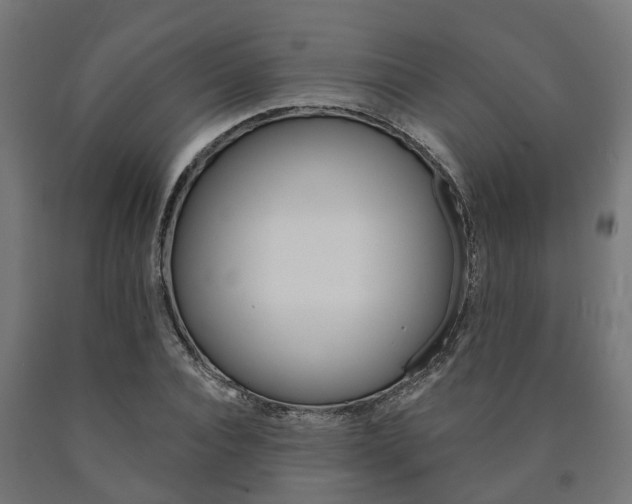 X0000091000928200708021221