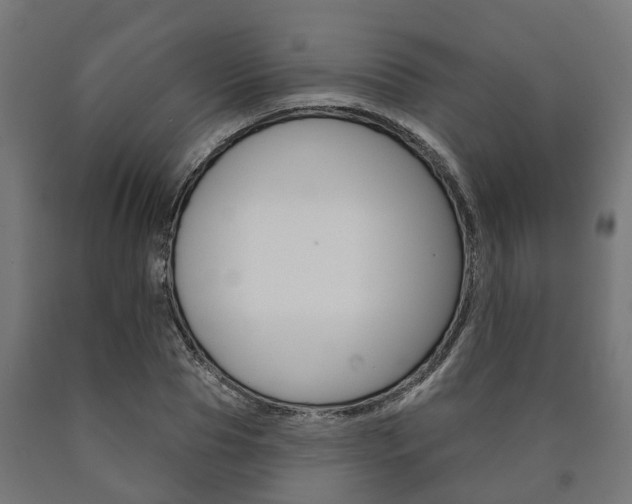 X0000091000929200708021221