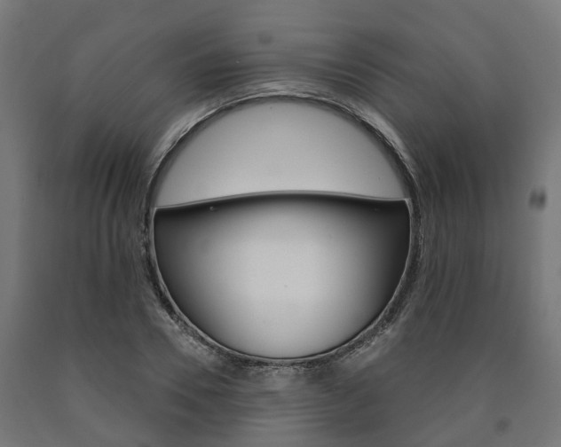 X0000091000930200708021221