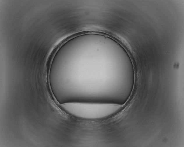 X0000091000931200708021221
