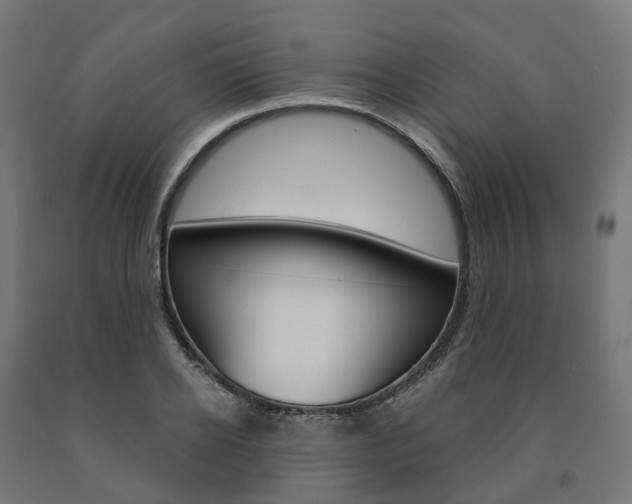X0000091000934200708021221