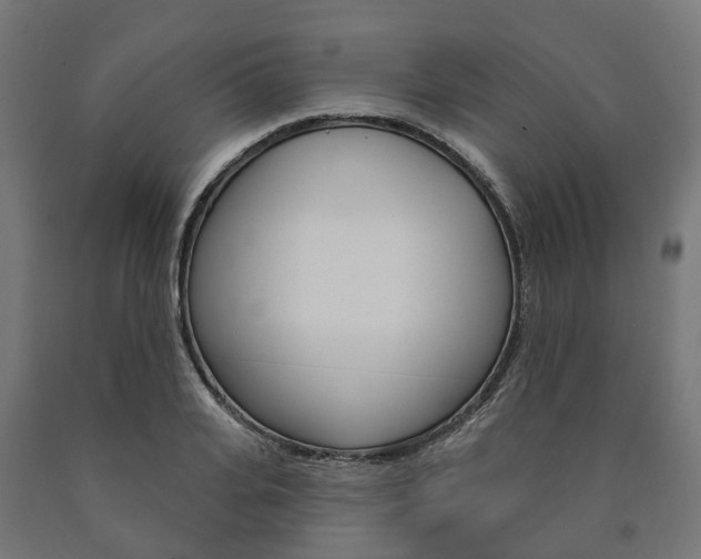 X0000091000935200708021221