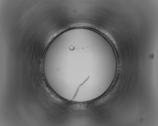 X0000091000937200708021222