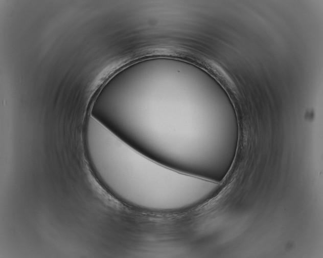 X0000091000938200708021222