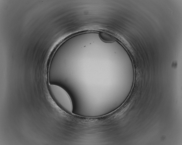 X0000091000939200708021222
