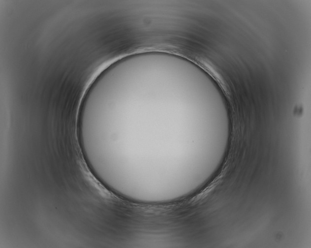 X0000091000940200708021222
