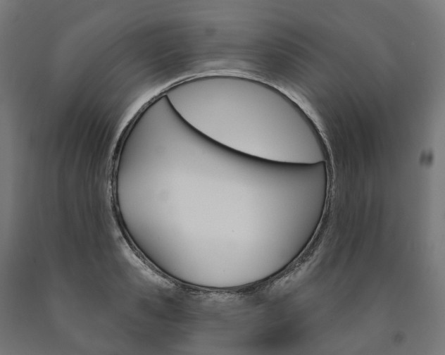 X0000091000941200708021222